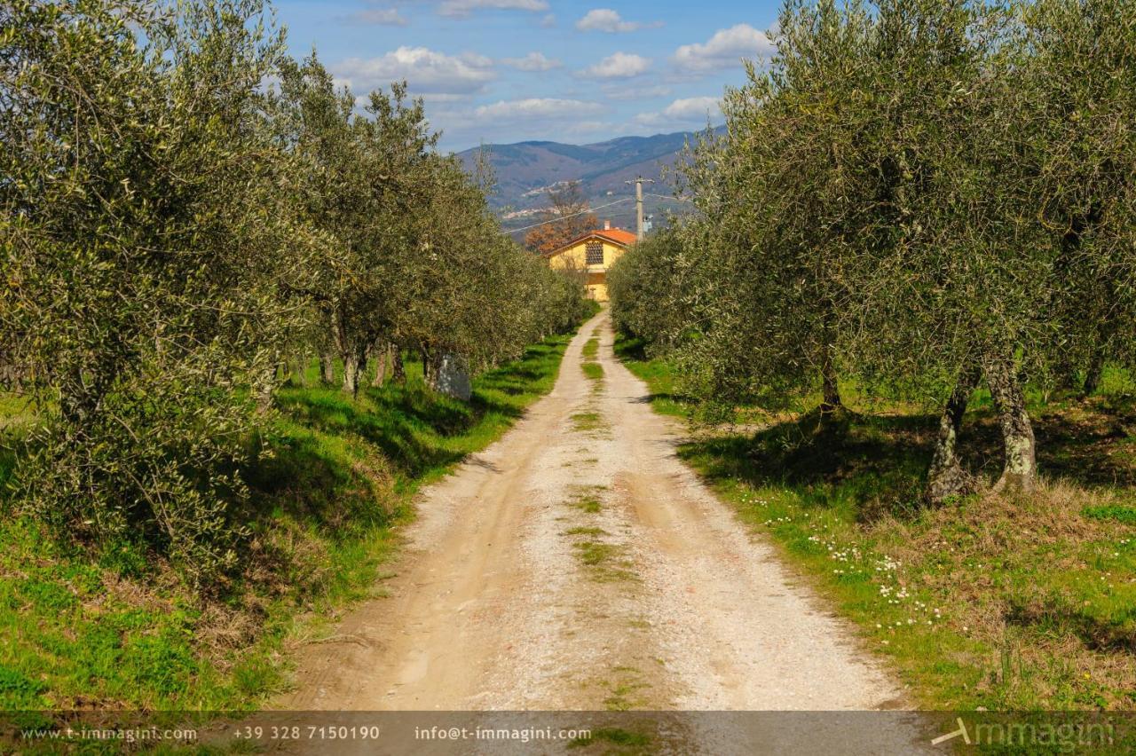 Bioagriturismo Poderaccio Incisa in Val d'Arno Kültér fotó