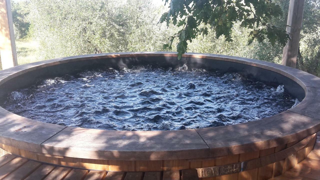 Bioagriturismo Poderaccio Incisa in Val d'Arno Kültér fotó
