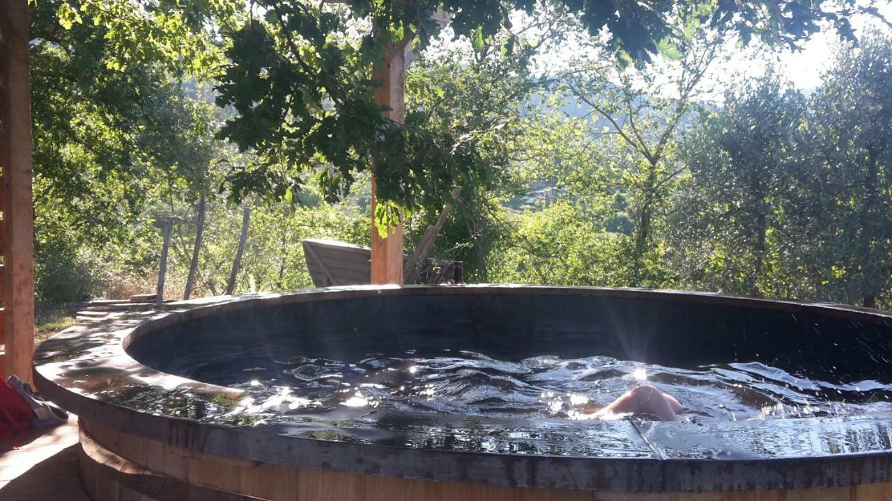 Bioagriturismo Poderaccio Incisa in Val d'Arno Kültér fotó