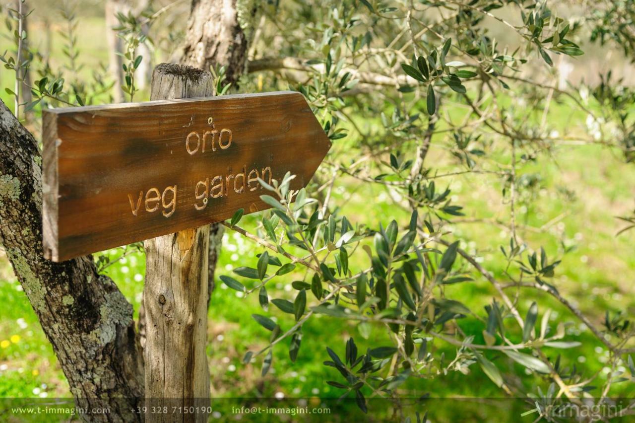 Bioagriturismo Poderaccio Incisa in Val d'Arno Kültér fotó