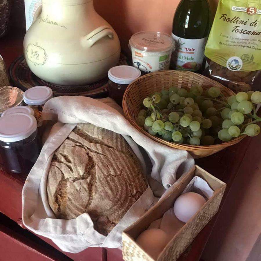 Bioagriturismo Poderaccio Incisa in Val d'Arno Kültér fotó